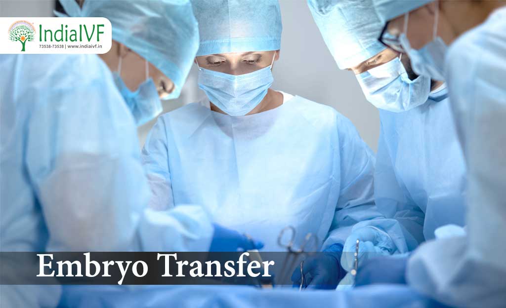 Embryo-Transfer