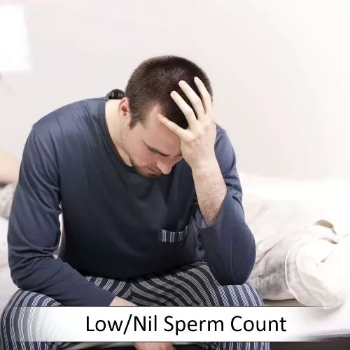 Low-NilSpermCount